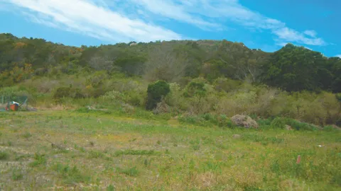 1-BVE-StandingOnTheProperty