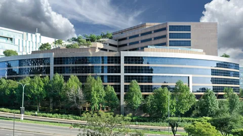 61 Katherine Street, Sandton, Johannesburg