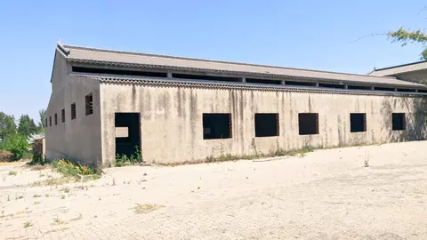 1 Alsation Road, Glen Austin