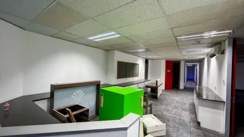 24 Cedar St, Auckland Park