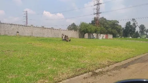 3 Norwalk Raod, Chloorkop