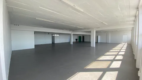 232 Albert Rd, Woodstock