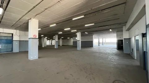 20241129_095545018_iOS