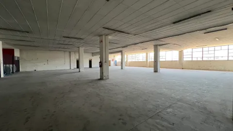 20241129_095950429_iOS