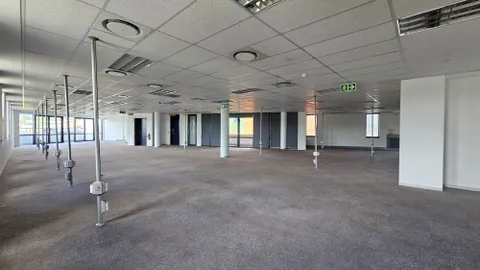 Brooklyn, The Point, 1133 Jan Shoba