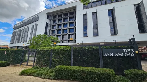 Brooklyn, The Point, 1133 Jan Shoba