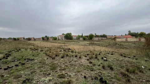 20250925_102926098_iOS.