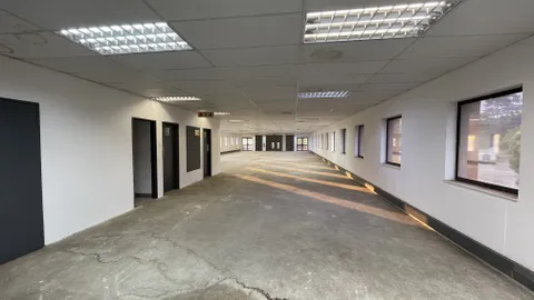 20260219_161323988_iOS.