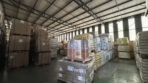 20260225_114122998_iOS.