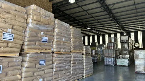 20260225_114813757_iOS.