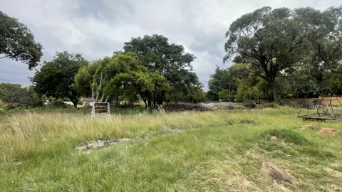 20260303_095314335_iOS.