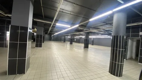 20260314_123429646_iOS.