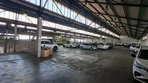 PAARDEN EILAND  67 Carlisle Street 