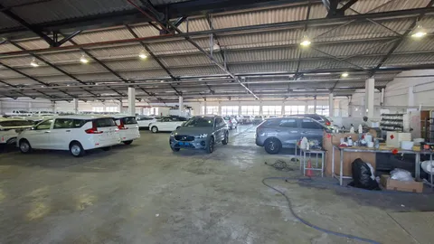 PAARDEN EILAND  67 Carlisle Street 