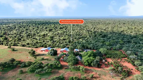 Established Game Farm with Income-Generating Opportunities On Auction: Phuduhudu Game Farm, Limpopo