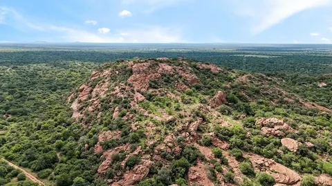 Established Game Farm with Income-Generating Opportunities On Auction: Phuduhudu Game Farm, Limpopo