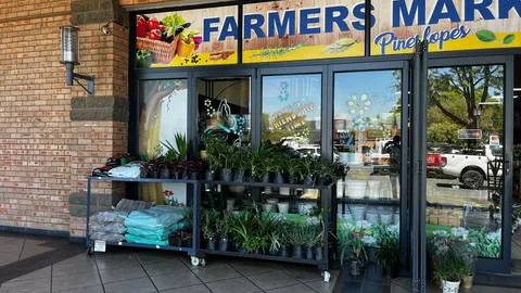 18 Sunset Avenue, Fourways