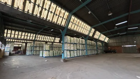 329 Mundt Street, Waltloo