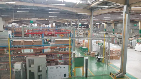 R8W2vKPQmp5zbsCN_large_3689