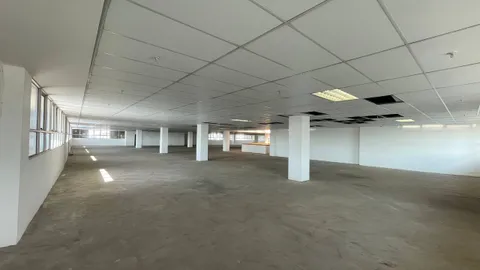 photo_12_2025-11-17_16-45-05