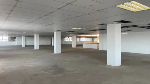 photo_13_2025-11-17_16-45-05