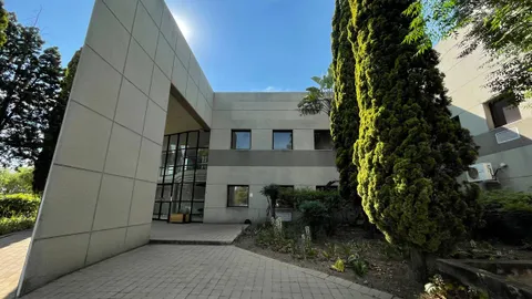 photo_3_2025-11-10_18-25-55