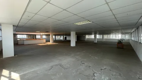 photo_5_2025-11-17_16-45-05