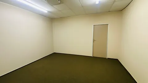 20260729_132614777_iOS.jpg