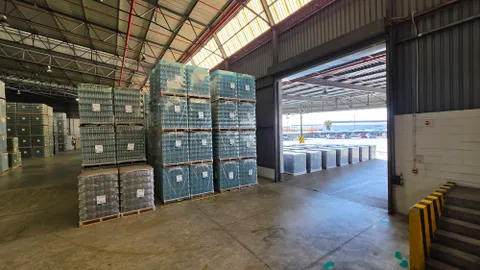 20260731_105236.jpg