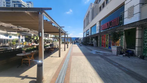The Firs, Corner Cradock and Biermann Avenue, Rosebank