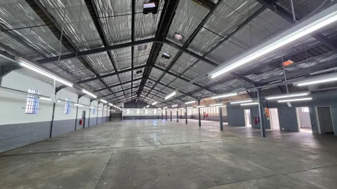 20260729_125024.jpg