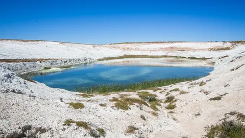 Swartland