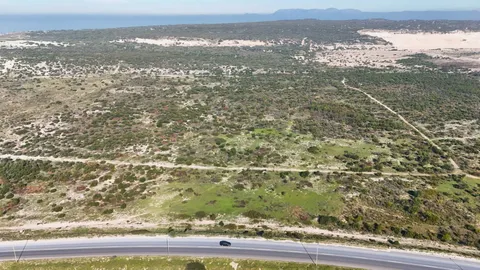 Large-scale Industrial Land On Auction: 95 Macassar Road, Cape Town