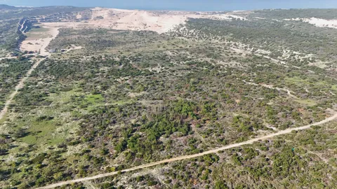 Large-scale Industrial Land On Auction: 95 Macassar Road, Cape Town