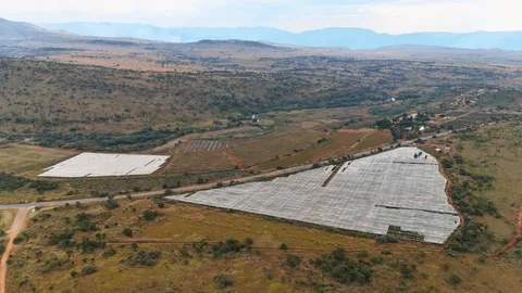Large-Scale Blueberry Farm On Auction: Portion 4 of Farm 375 Rietfontein, Mpumalanga