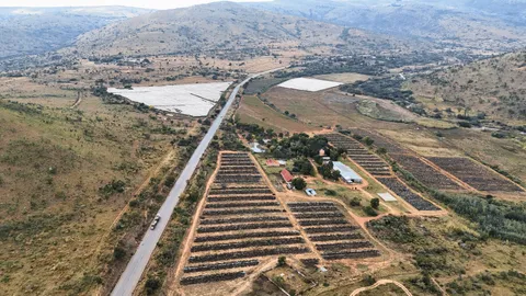 Large-Scale Blueberry Farm On Auction: Portion 4 of Farm 375 Rietfontein, Mpumalanga
