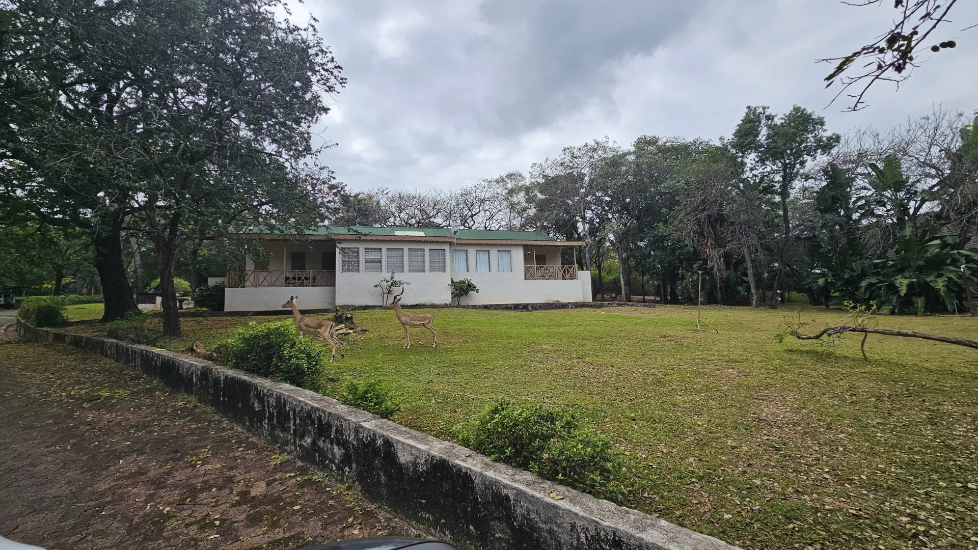 Property image 22