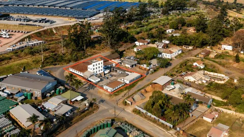 Vacant Industrial Warehouse On Auction: 10 Umlaas Road, Camperdown